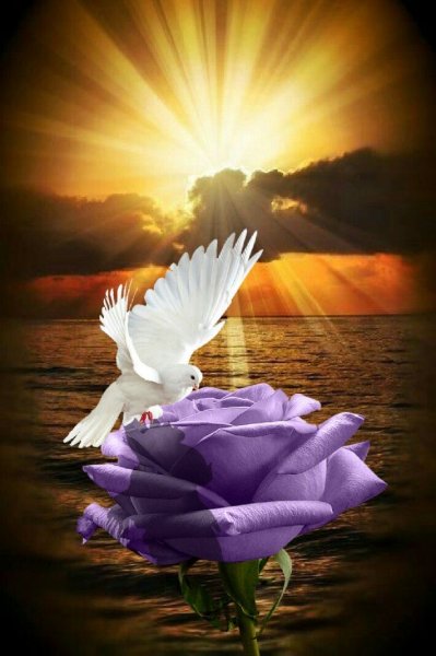 Голубь с веткой в клюве