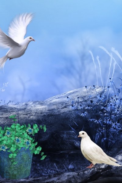 Голубь с цветком в клюве