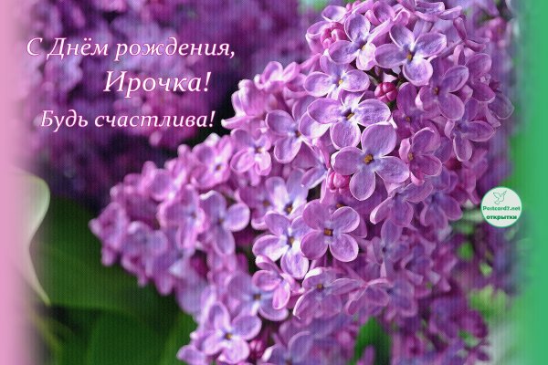 Доброеиутро с хризантемами