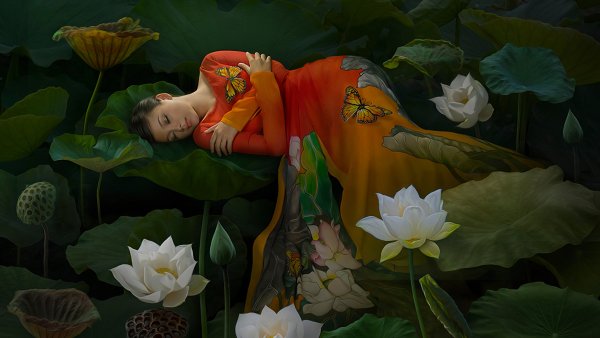 Художник Duong Quoc dinh Лотос