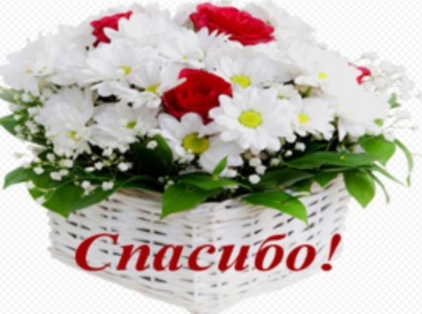 Спасибо цветы