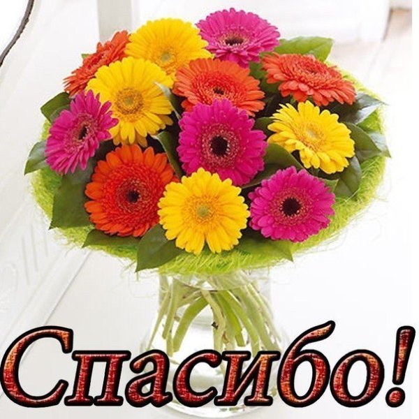 Благодарность цветы