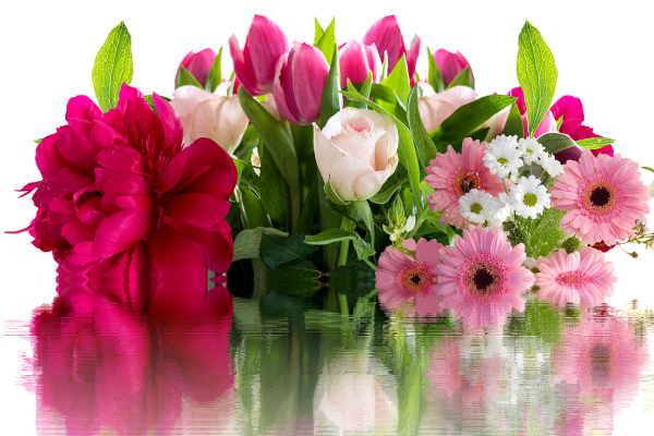 Спасибо цветы