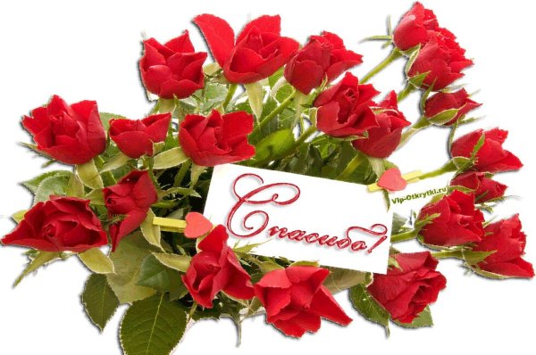 Красивые открытки с благодарностью