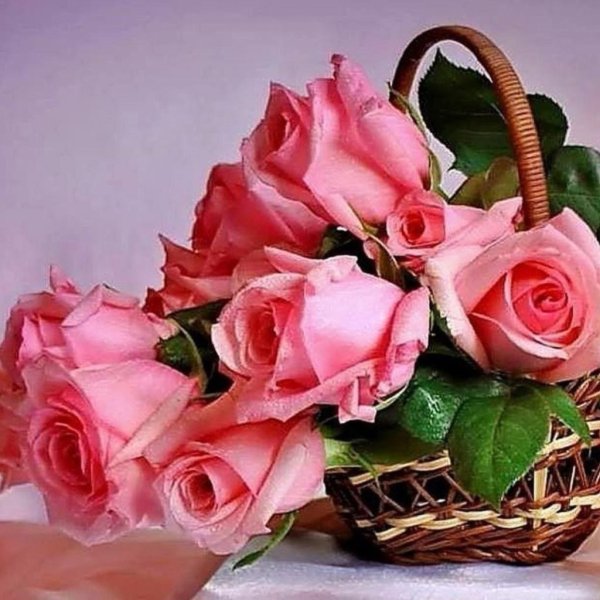 Открытки с благодарностью