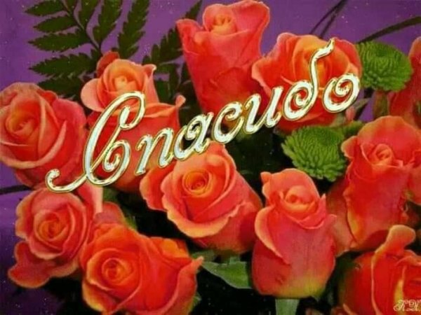 Спасибо с весенними цветами