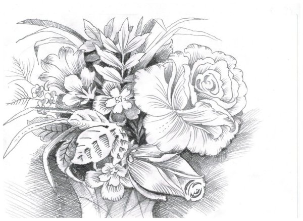 Рисунки карандашом лёгкие цветы