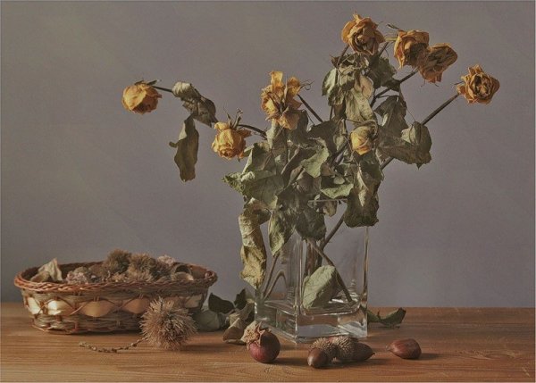 Лютик завявший