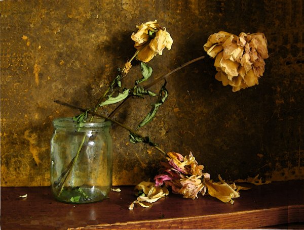 Засохшие цветы в вазе