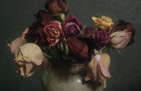 Увядшие розы в вазе