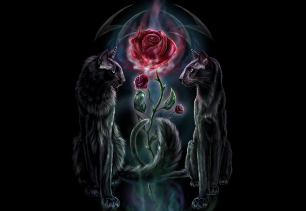 Мистические цветы