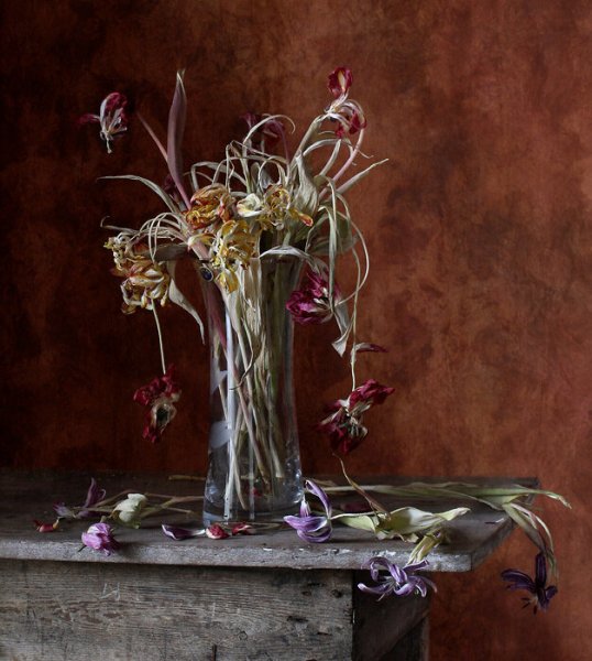 Засохшие цветы в вазе