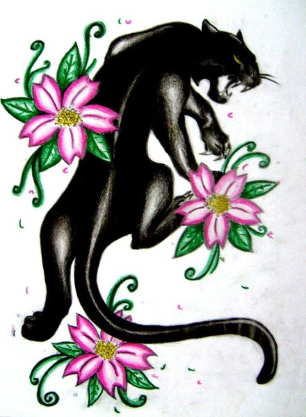 Одинокая пантера