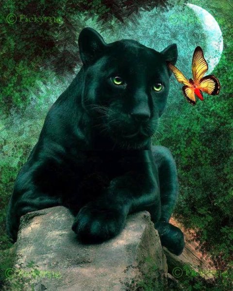 Женщина с кошкой