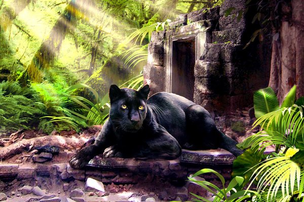 Пантера в листве