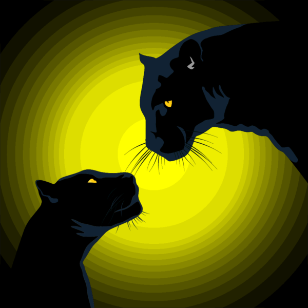 Пантера в дикой природе