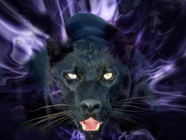 Тату пантера акварель