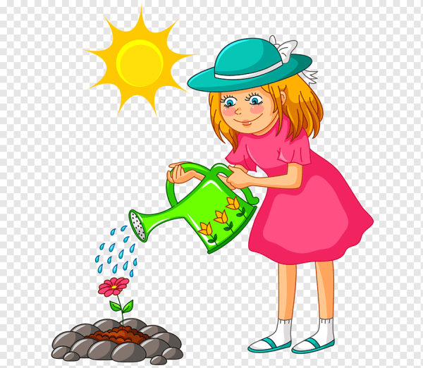 Поливать цветы