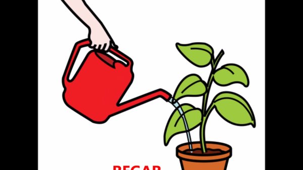 Графомоторика огород