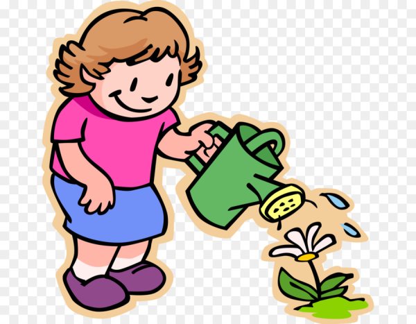 Мальчик поливает комнатные цветы