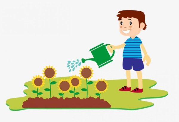 Мальчик поливает комнатные цветы