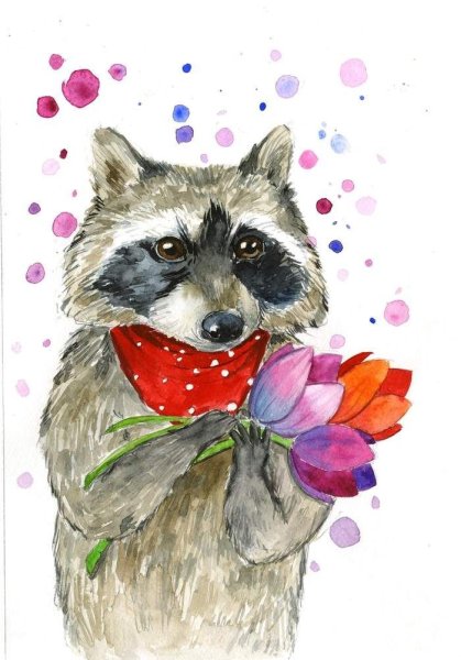 Енот рисунок