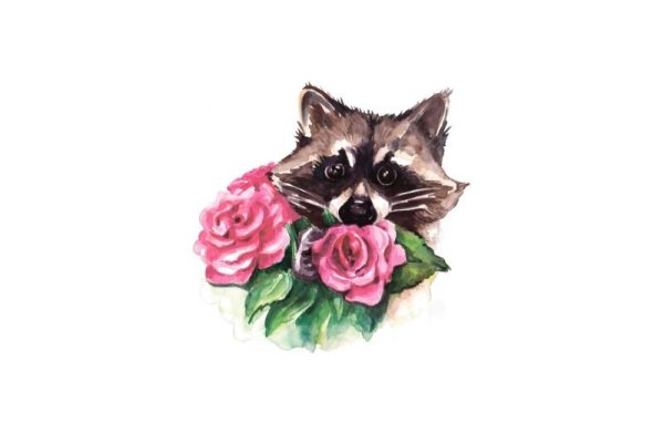 Енотик в цветах