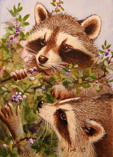 Енот с цветочком