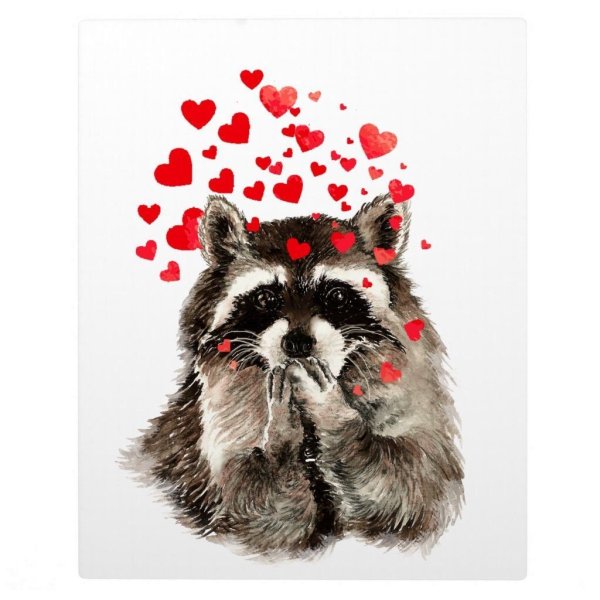 AMYLYN Bihrle енот