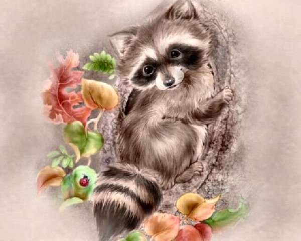 Картина по номерам енот в суккулентах