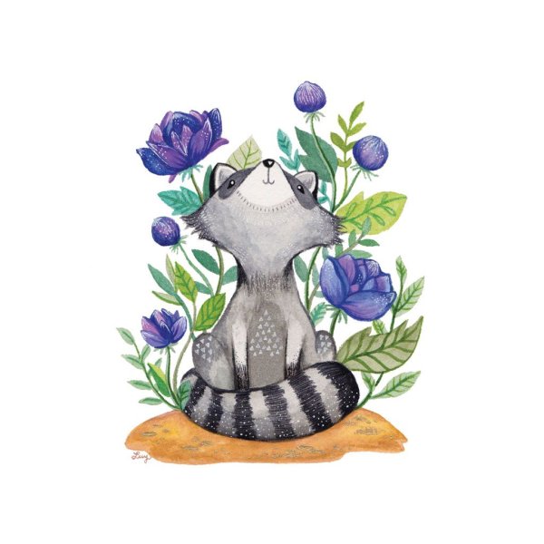 Эскизы енотов