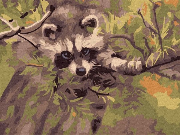 Енот в постели