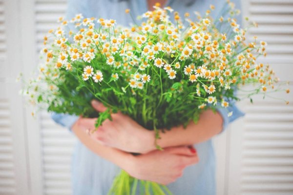 Букет полевых цветов