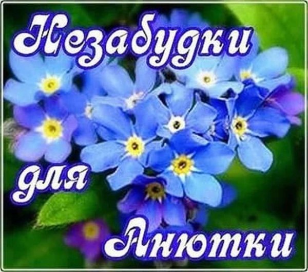 С днём рождения Анюта