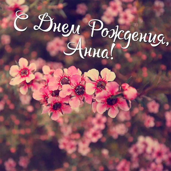 С днём рождения Анна