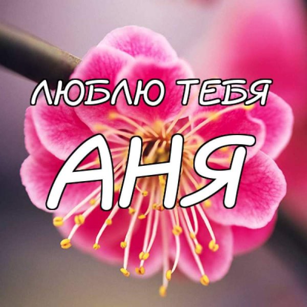 Анечка картинки