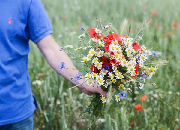 Букеты полевых и лесных цветов