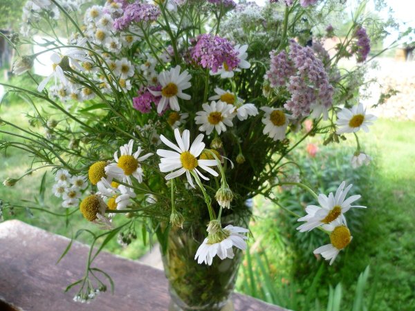 Полевой букет