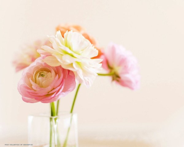 Анечка с днём рождения открытки