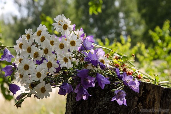 Букет с полевыми цветами