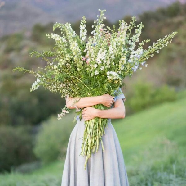 Букет полевых цветов в руках