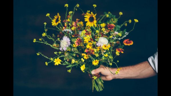 Букет полевых цветов