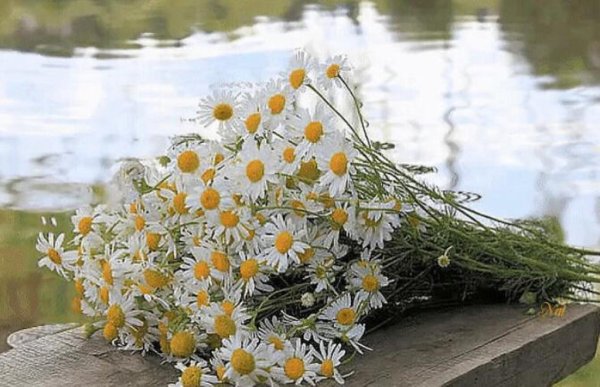 Букет из колокольчиков и ромашек