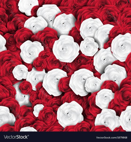 Красно белые цветы