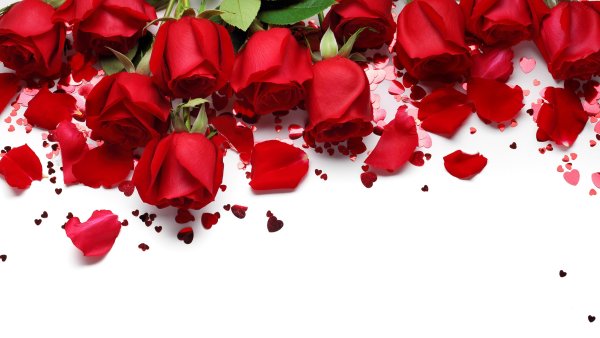 Красный лепесток