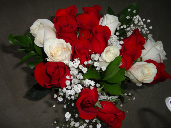 Розы красные и белые