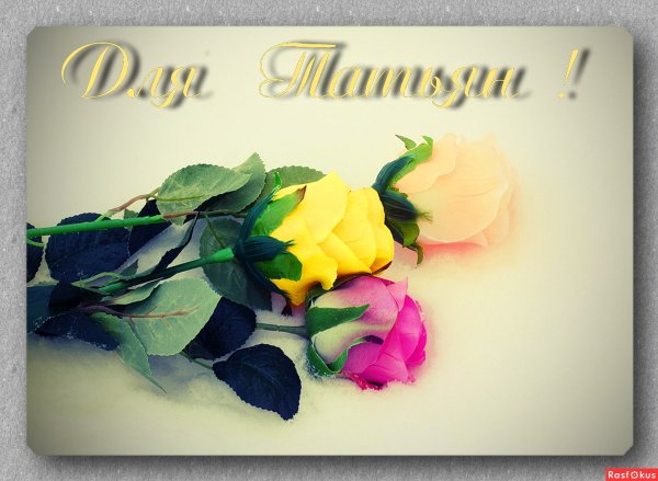 Красивые цветы для подруги