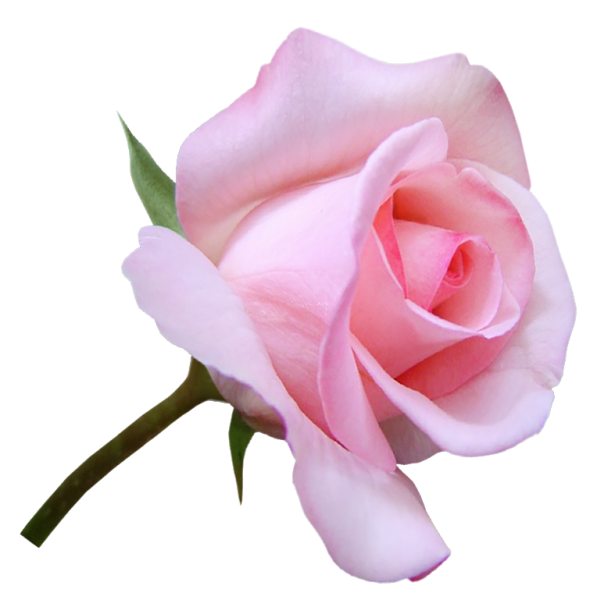 Букет для Танечки