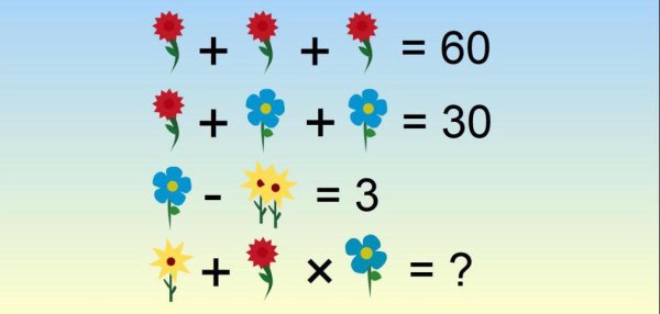 Числовые цветочки