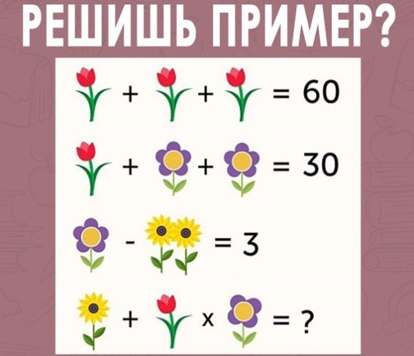 Комнатные растения задания для дошкольников